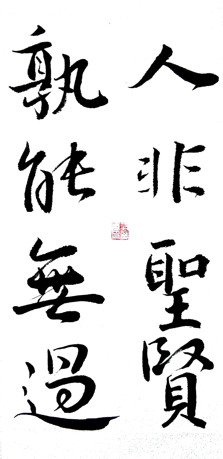 016《人非圣贤，孰能无过》任晋萱2021033867